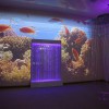 Проекционный дизайн "Виртуальная реальность" базовый комплект 500 анимаций - «globural.ru» - Нижневартовск