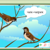 Интерактивное развивающее пособие "Говорящие картинки. Слушаем и повторяем" - «globural.ru» - Нижневартовск