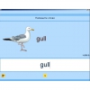Английский язык. Освоение клавиатуры - «globural.ru» - Нижневартовск