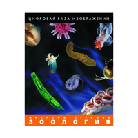 Зоология. Микрофотографии. (Цифровая база изображений) - «globural.ru» - Нижневартовск