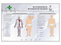 Электрифицированный стенд "Остановка кровотечения" - «globural.ru» - Нижневартовск