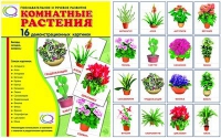 Демонстрационные карточки "Комнатные растения" - «globural.ru» - Нижневартовск