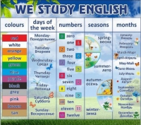 Стенд "We study english" - «globural.ru» - Нижневартовск