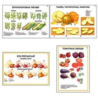 Плакаты ПРОФТЕХ "Ассортимент овощных культур" (12 пл, винил, 70х100) - «globural.ru» - Нижневартовск