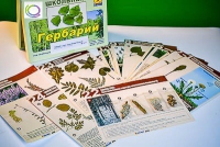 Гербарий к курсу основ общей биологии - «globural.ru» - Нижневартовск