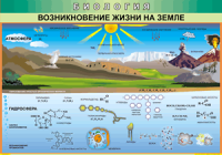Таблица Возникновение жизни на Земле 1000*1400 винил - «globural.ru» - Нижневартовск