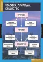 Обществознание. VIII - IX класс (комплект таблиц) - «globural.ru» - Нижневартовск