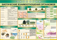 Таблица Биотические взаимоотношения организмов 1000*700 (винил) - «globural.ru» - Нижневартовск