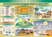 Таблица Антропогенное воздействие на биосферу 1000*700 винил - «globural.ru» - Нижневартовск