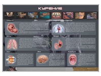 Стенд "Курение" (вариант 1) - «globural.ru» - Нижневартовск