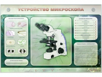 Электрифицированный стенд "Устройство микроскопа и правила работы c ним" - «globural.ru» - Нижневартовск