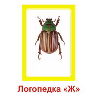 Логопедка "Ж" (логопедические карточки) - «globural.ru» - Нижневартовск