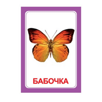 Логопедка "Ч" (логопедические карточки) - «globural.ru» - Нижневартовск