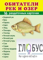Раздаточные карточки "Обитатели рек и озер" - «globural.ru» - Нижневартовск