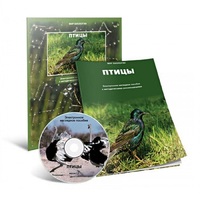 Электронное наглядное пособие «Птицы» - «globural.ru» - Нижневартовск