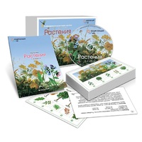 Комбинированное наглядное пособие «Растения» - «globural.ru» - Нижневартовск
