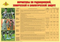 Плакат "Нормативы по радиационной, химической и биологической защите" - «globural.ru» - Нижневартовск