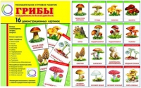 Демонстрационные карточки  "Грибы съедобные и не съедобные" - «globural.ru» - Нижневартовск