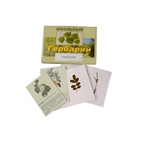 Гербарий "Деревья и кустарники" (22 вида, с иллюстрациями) - «globural.ru» - Нижневартовск