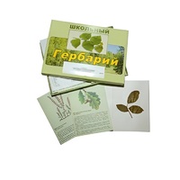 Гербарий "Дикорастущие растения" (30 видов, с иллюстрациями) - «globural.ru» - Нижневартовск