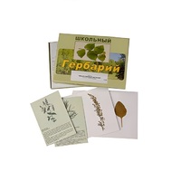 Гербарий "Лекарственные растения" (22 вида, с иллюстрациями) - «globural.ru» - Нижневартовск