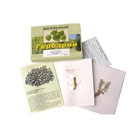 Гербарий "Водоросли. Грибы. Лишайники" (раздаточный) - «globural.ru» - Нижневартовск