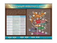 Интерактивный электрифицированный стенд "Эволюция животного мира" - «globural.ru» - Нижневартовск