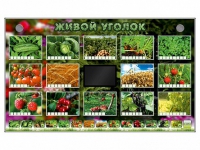 Комплект оборудования "Живой уголок" (растения) - «globural.ru» - Нижневартовск
