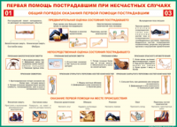  Таблица Общий порядок оказания первой помощи пострадавшим 1000*1400 винил	 - «globural.ru» - Нижневартовск