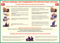 Таблица Порядок действий при внезапной смерти 1000*1400 винил - «globural.ru» - Нижневартовск