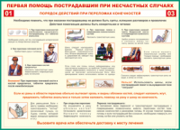 Таблица Порядок действий при переломах конечностей 1000*1400 винил - «globural.ru» - Нижневартовск
