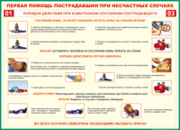 Таблица Порядок действий при коматозном состоянии пострадавшего 1000*1400 винил - «globural.ru» - Нижневартовск