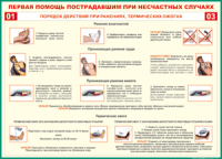 Таблица Порядок действий при ранениях и термических ожогах	 1000*1400 винил - «globural.ru» - Нижневартовск