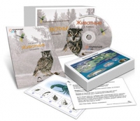 Комбинированное наглядное пособие «Животные» - «globural.ru» - Нижневартовск