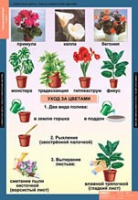 Окружающий мир 1 класс (комплект таблиц) - «globural.ru» - Нижневартовск