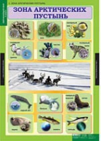Окружающий мир 4 класс (комплект таблиц) - «globural.ru» - Нижневартовск