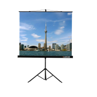 Проекционный экран на штативе Lumien Eco View (LEV-100105) 160x160 см - «globural.ru» - Нижневартовск