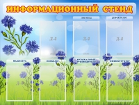 Стенд информационный с 7 карманами - «globural.ru» - Нижневартовск
