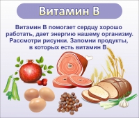 Стенд "Витамин В" - «globural.ru» - Нижневартовск