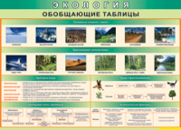 Обобщающие таблицы 1000*700 винил	 - «globural.ru» - Нижневартовск