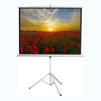 Экран на штативе DSKD-4303 - «globural.ru» - Нижневартовск