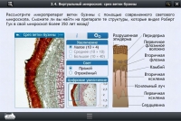 Интерактивные курсы. Биология 5 класс. Расширенный - «globural.ru» - Нижневартовск
