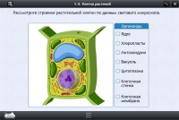 Интерактивные курсы. Биология 9 класс. Расширенный - «globural.ru» - Нижневартовск