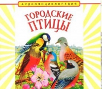 CD "Аудиоэнциклопедия. Городские птицы" - «globural.ru» - Нижневартовск