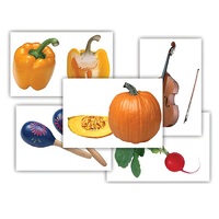 Набор предметных картинок "Овощи. Музыкальные инструменты" - «globural.ru» - Нижневартовск