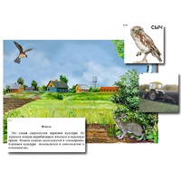 Магнитный плакат-аппликация "Поле: биоразнообразие и взаимосвязи в сообществе" - «globural.ru» - Нижневартовск