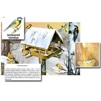 Магнитный плакат-аппликация "Биоразнообразие и экологические группы. Птицы зимой" - «globural.ru» - Нижневартовск