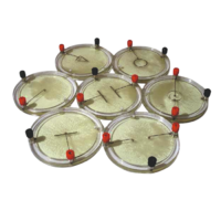 Демонстрационный комплект «Силовые линии электрического поля разных систем зарядов» - «globural.ru» - Нижневартовск