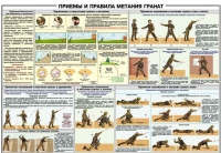 Плакат "Приемы и правила метания гранат" - «globural.ru» - Нижневартовск