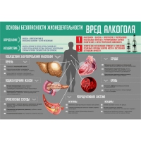 Стенд "Алкоголь" - «globural.ru» - Нижневартовск